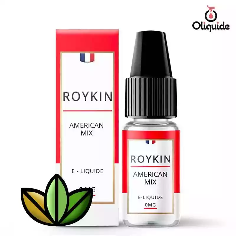 Expérimentez le American Mix de Roykin pour une approche novatrice