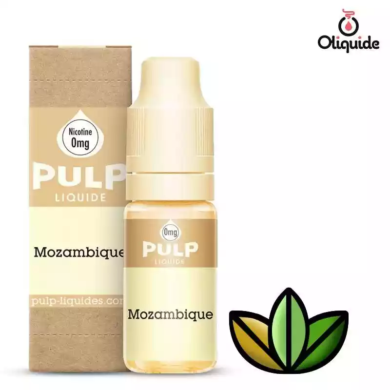 Expérimentez le Mozambique de Pulp