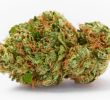 Fleur de cbd