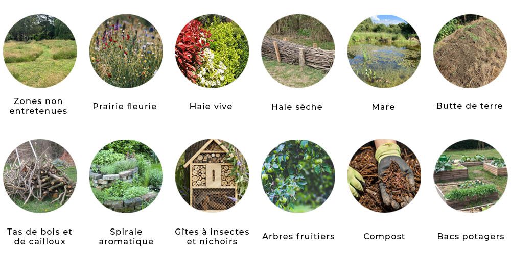 amenagements biodiversité oliquide