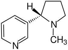 molécule de la nicotine
