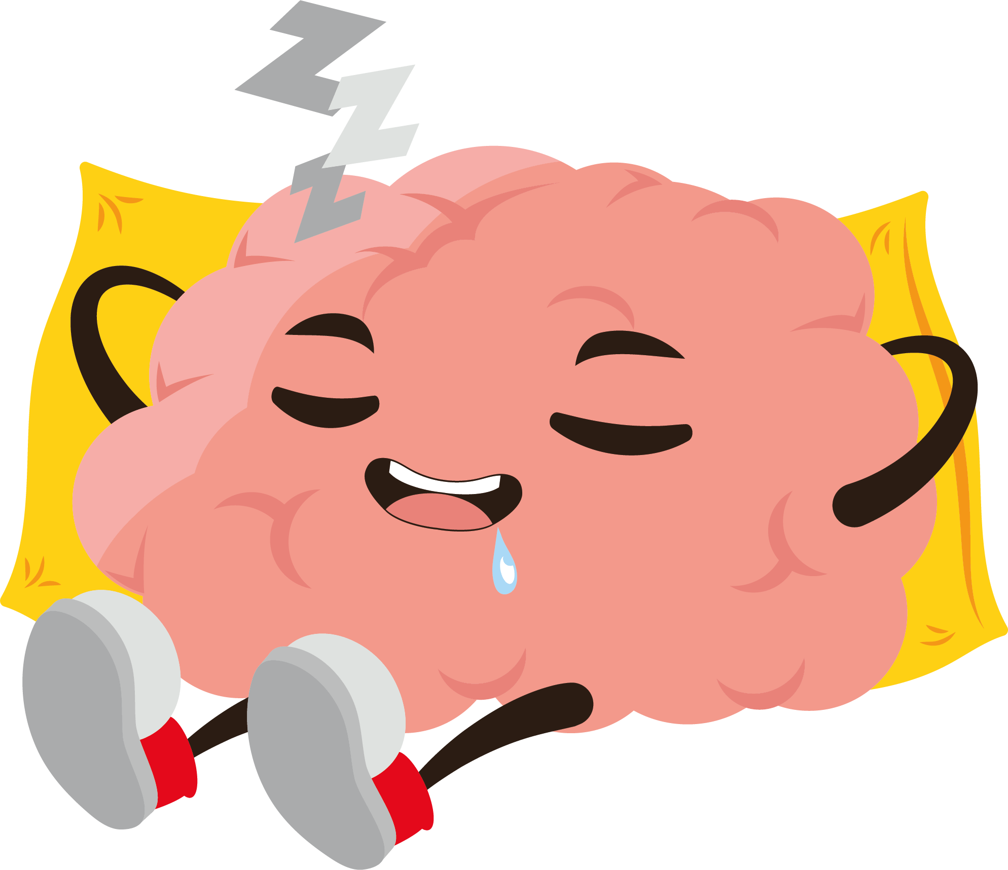 LE SOMMEIL ET LE CERVEAU