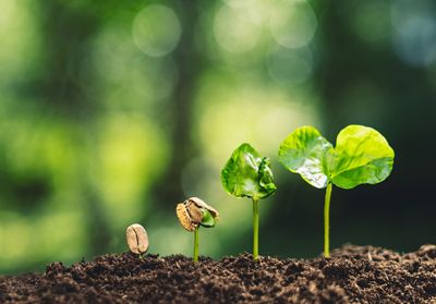 Engagé pour l'environnement