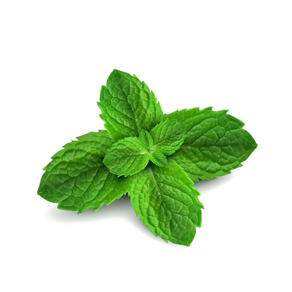 eliquides frais menthe