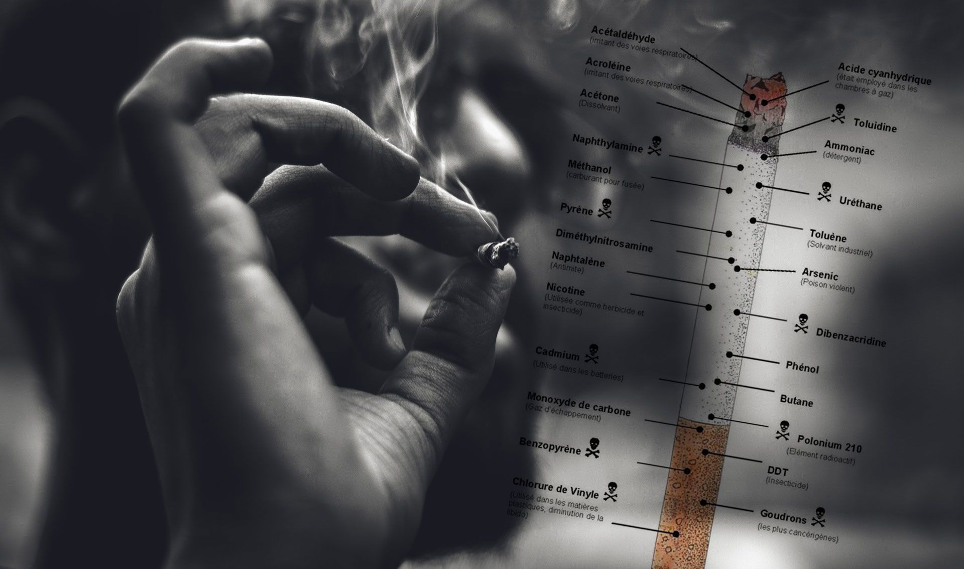 Image montrant en gros plan une personne qui fume avec en superposition un schéma des produits toxiques contenus dans une cigarette Image montrant en gros plan une personne qui fume avec en superposition un schéma des produits toxiques contenus dans une cigarette Image montrant en gros plan une personne qui fume avec en superposition un schéma des produits toxiques contenus dans une cigarette Image montrant en gros plan une personne qui fume avec en superposition un schéma des produits toxiques contenus dans une cigarette Image montrant en gros plan une personne qui fume avec en superposition un schéma des produits toxiques contenus dans une cigarette Image montrant en gros plan une personne qui fume avec en superposition un schéma des produits toxiques contenus dans une cigarette Image montrant en gros plan une personne qui fume avec en superposition un schéma des produits toxiques contenus dans une cigarette Image montrant en gros plan une personne qui fume avec en superposition un schéma des produits toxiques contenus dans une cigarette