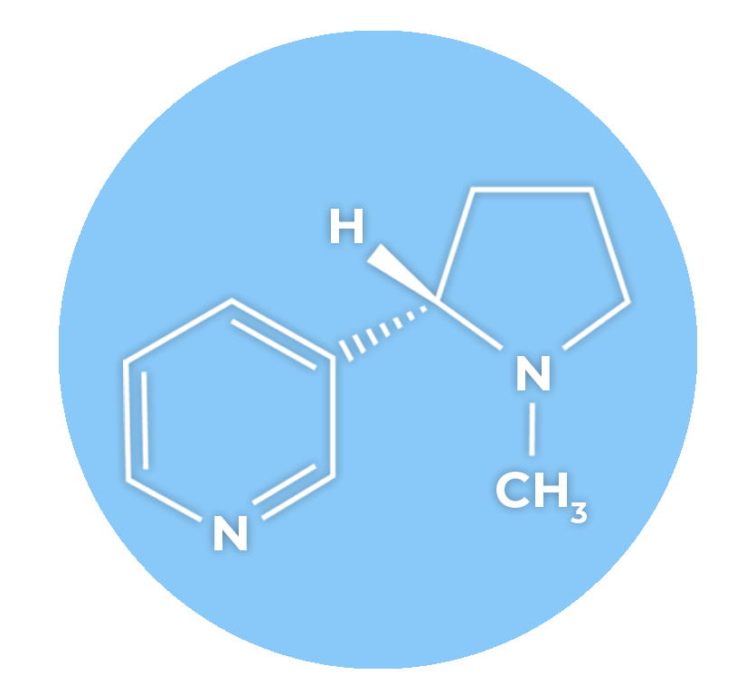 formulation sel de nicotine
