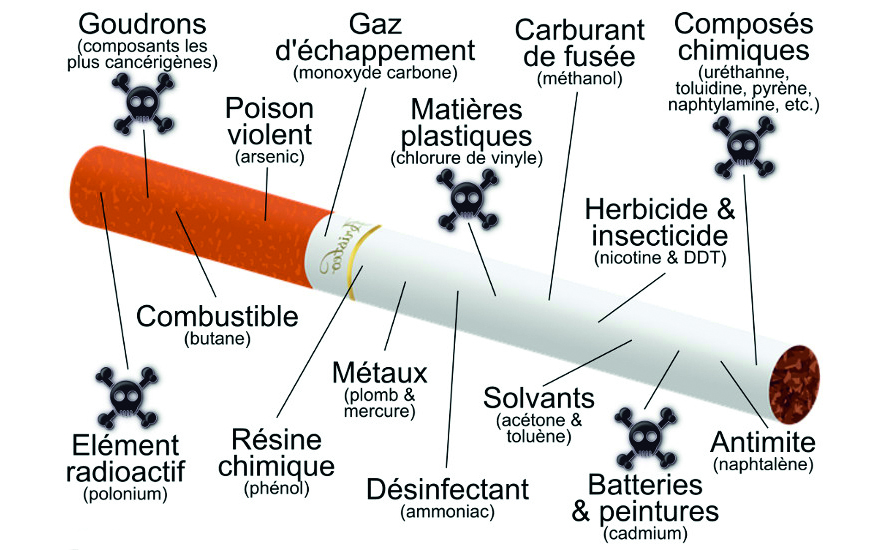 composition d'une cigarette 