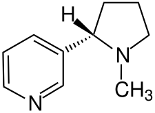 molécule de la nicotine