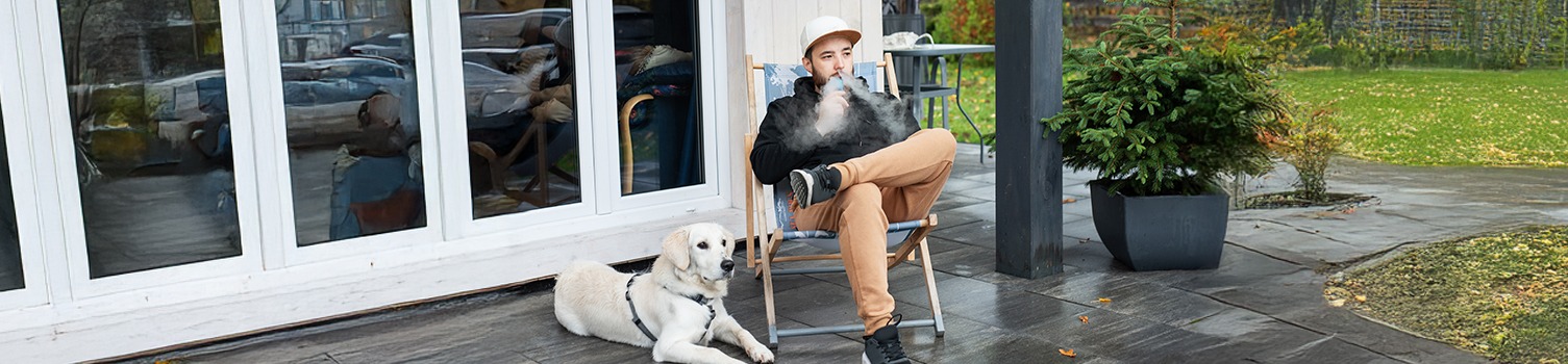 tout savoir sur les huiles de CBD