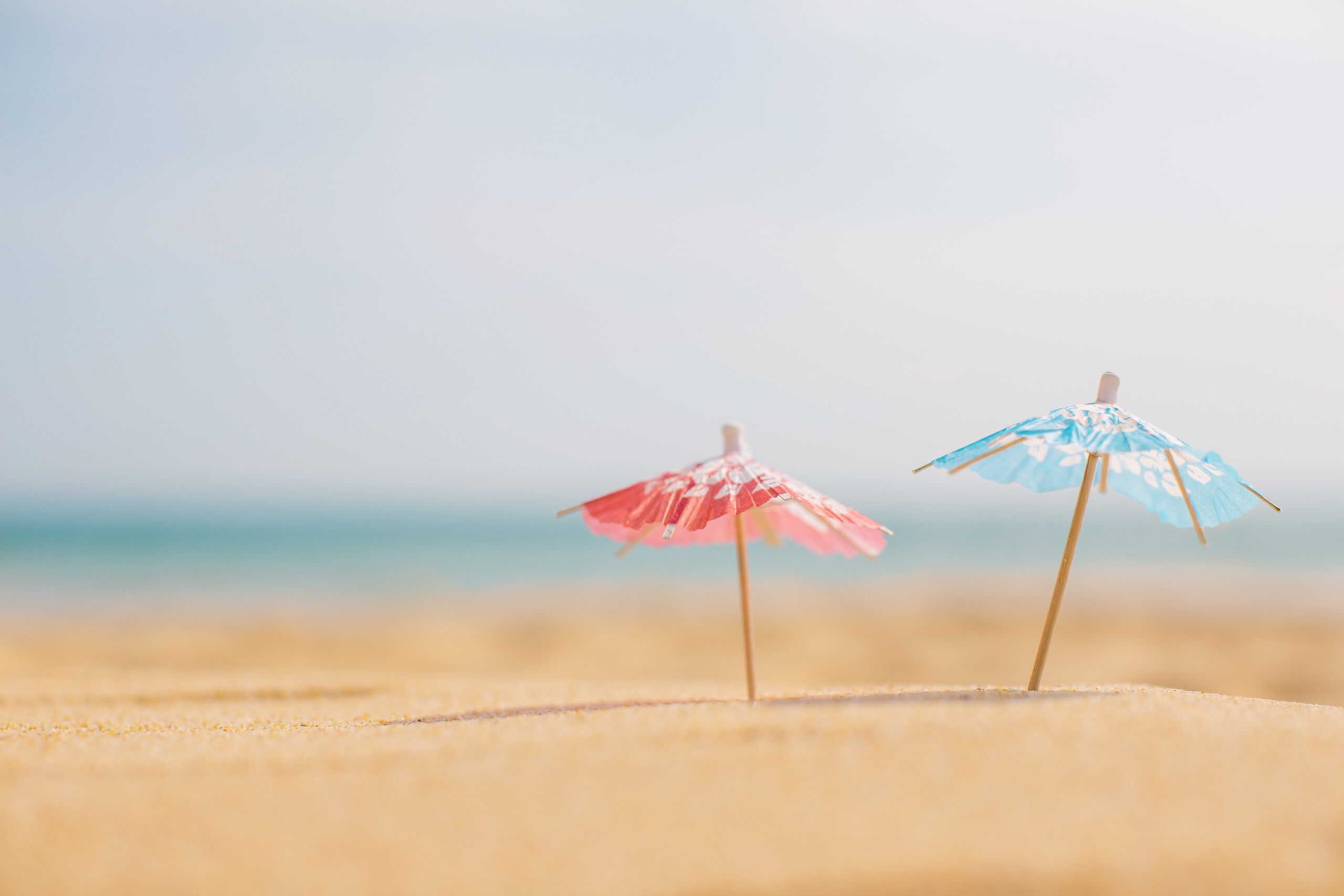 tout savoir sur les huiles de CBD