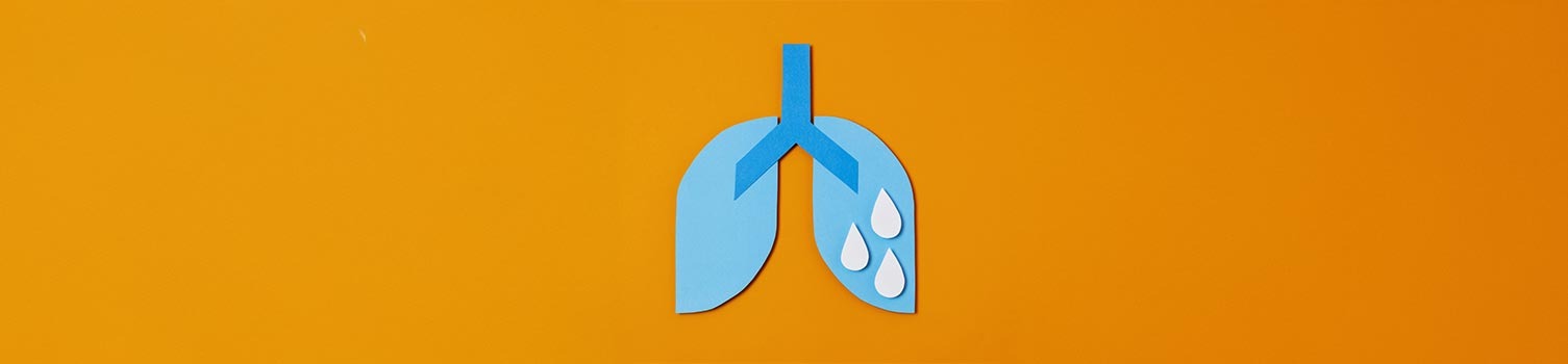 tout savoir sur les huiles de CBD