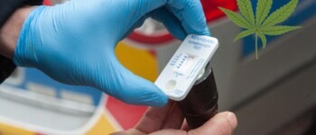 Image de l’article