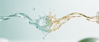 Image de l’article