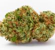 Fleur de cbd
