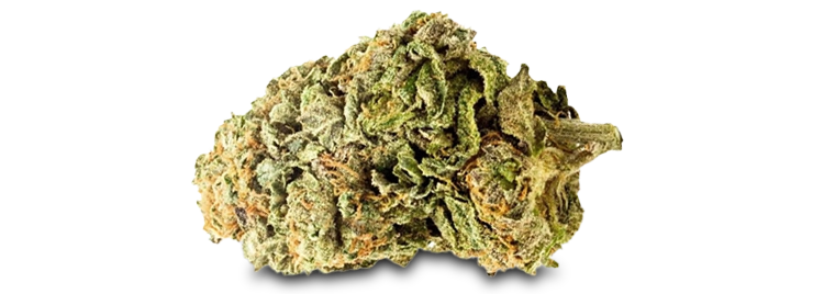 Image d'une fleur CBD OG Krush de chez Greeneo