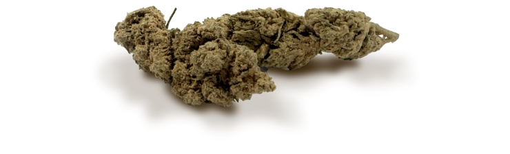 Fleur CBD Boostée Bubble Gum du Chanvrier Français