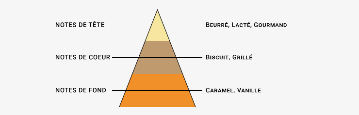 Image de la Pyramide Olfactive du e-liquide Avarice