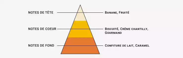 Image de la Pyramide Olfactive du e-liquide Gourmandise