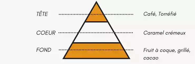 Pyramide Olfactive du e-liquide Dolce Donna