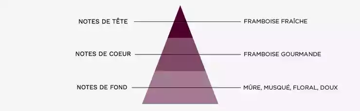 Pyramide Olfactive du e-liquide Mûre Framboise