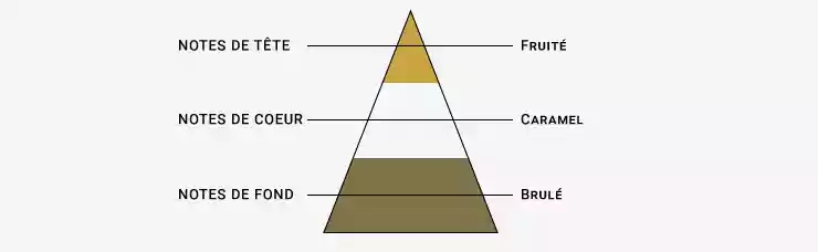 Pyramide Olfactive du e-liquide T Blond Doux