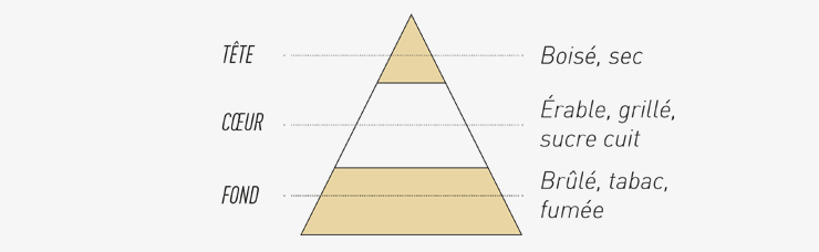 Pyramide Olfactive du e-liquide T Origine
