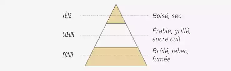 Pyramide Olfactive du e-liquide T Origine