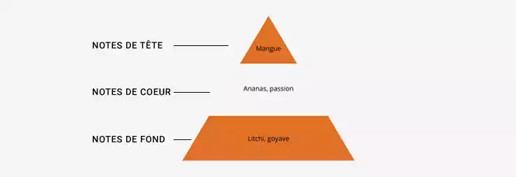 Pyramide Olfactive de Tropic Man de Sens Insolite