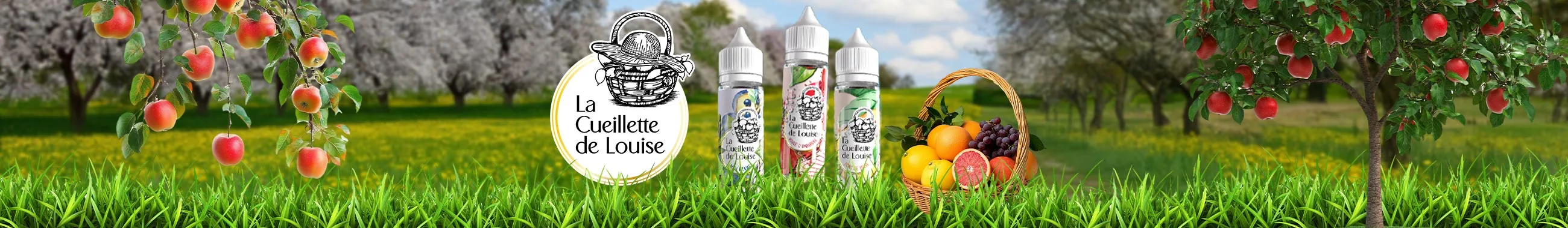 Bannière Cueillette de louise