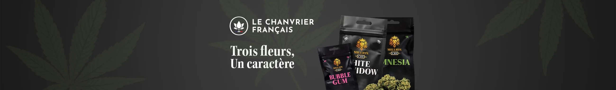 Bannière Million CBD