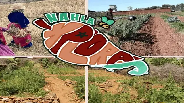 Illustration du projet du moment