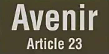 Article 23