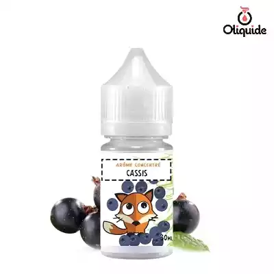 Arômes pour DIY Concentr&eacute; Cassis de la marque H2O