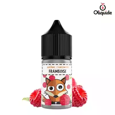 Arômes pour DIY Concentr&eacute; Framboise de la marque H2O