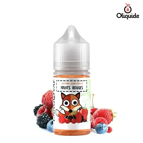 Arômes pour DIY Ar&ocirc;me Fruits Rouges de la marque H2O