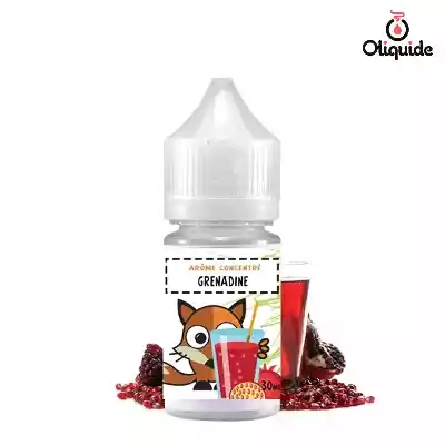 Arômes pour DIY Concentr&eacute; Grenadine de la marque H2O