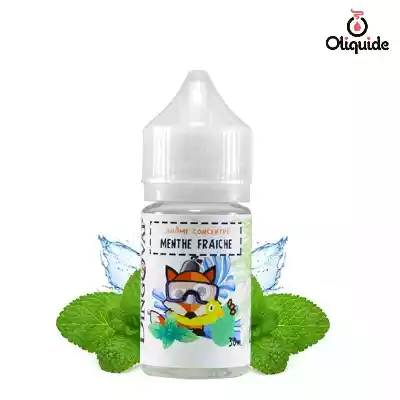 Arômes pour DIY Concentr&eacute; Menthe Fra&icirc;che de la marque H2O