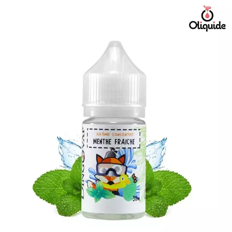 Expérimentez le Concentr&eacute; Menthe Fra&icirc;che de H2O et découvrez ses multiples facettes