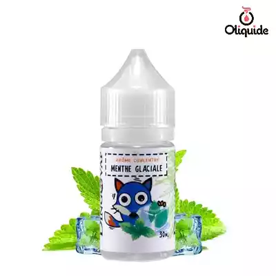 Arômes pour DIY Concentr&eacute; Menthe Glaciale de la marque H2O