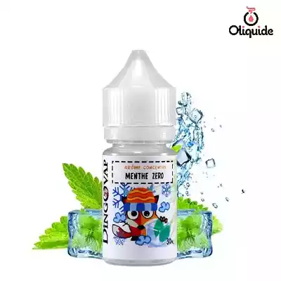 Arômes pour DIY Concentr&eacute; Menthe Z&eacute;ro de la marque H2O