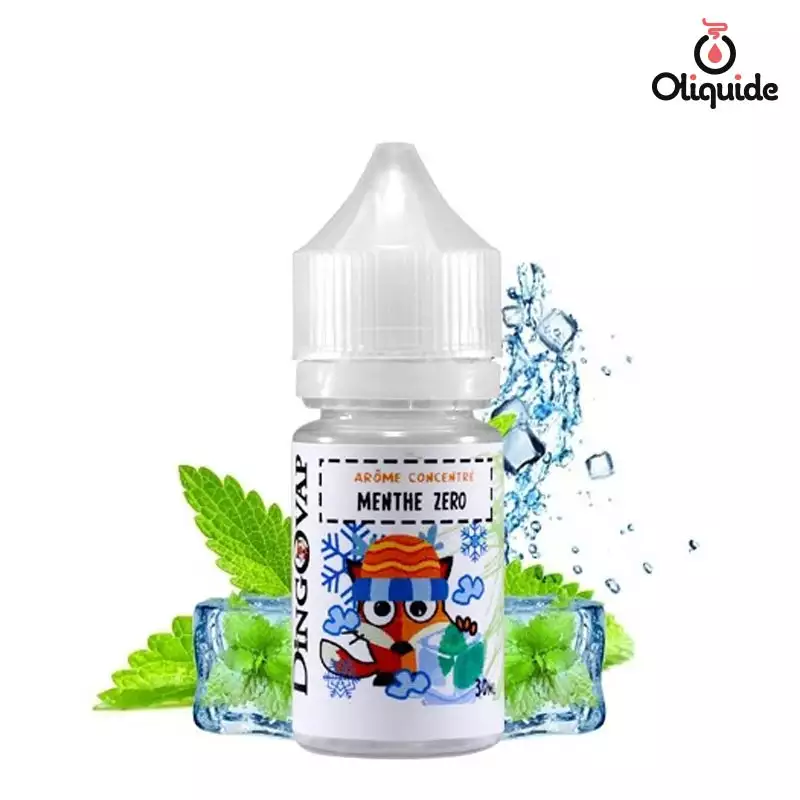 Faites l'essai du Concentr&eacute; Menthe Z&eacute;ro de H2O