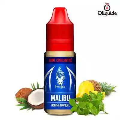 Liquides DLUO Dépassée Arome Malibu DIY de la marque Halo
