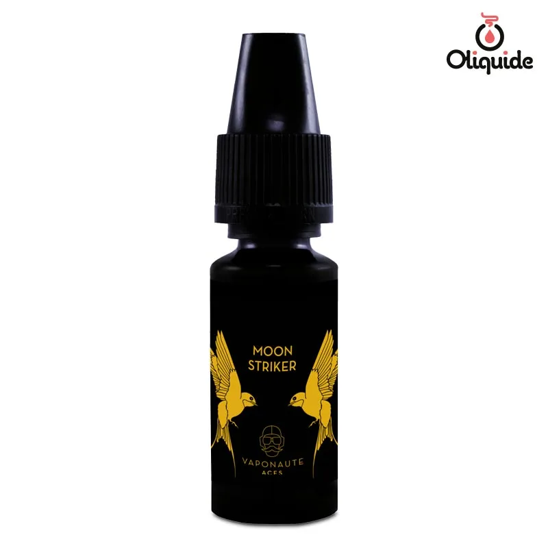 Expérimentez le Moon Striker de Vaponaute et découvrez ses avantages uniques