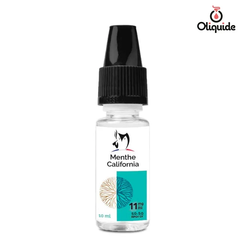 Testez le Menthe California de Bioconcept et optimisez votre expérience