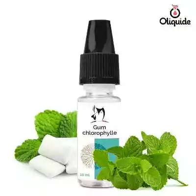 Liquides DLUO Dépassée Gum Chlorophylle de la marque Bioconcept