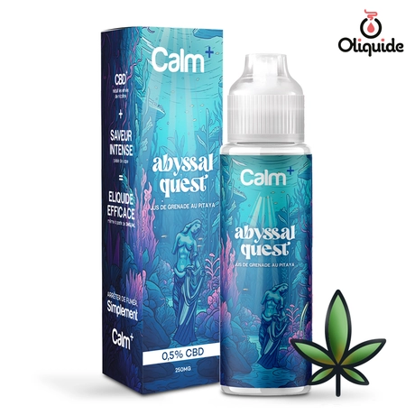 Fuu Calm+ 50ml Abyssal Quest CBD 250 mg - 50 ml de la marque Fuu