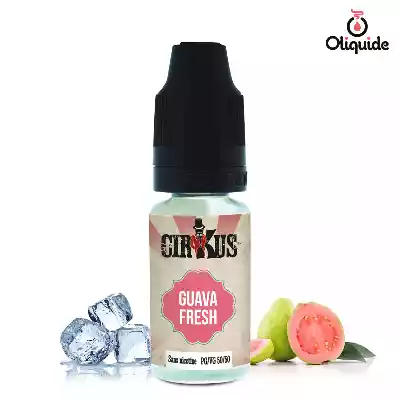 Cirkus Guava Fresh de la marque VDLV