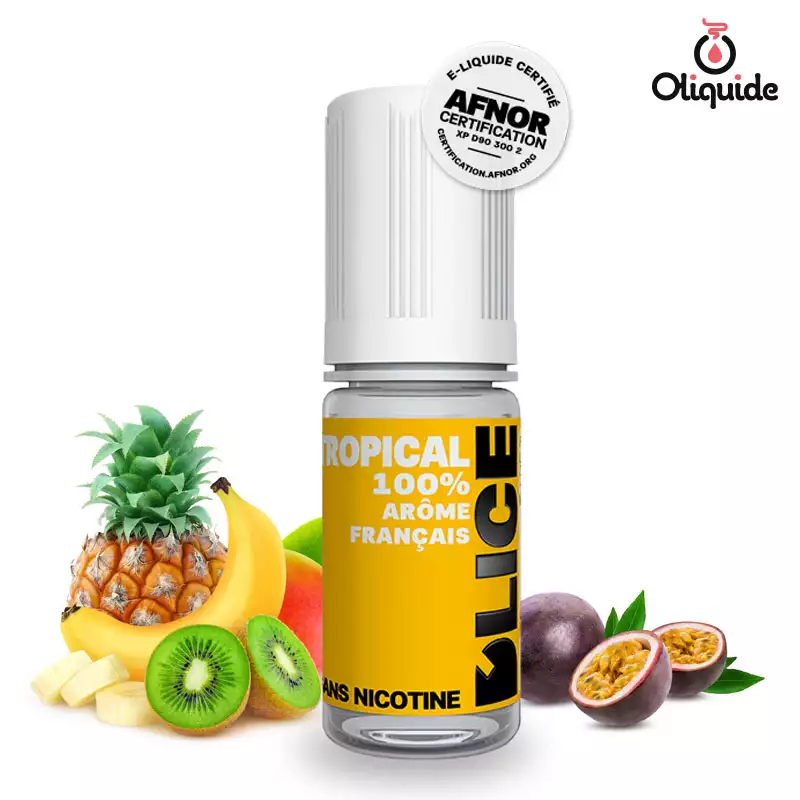 Explorez les fonctionnalités du Tropical de D'lice en le testant