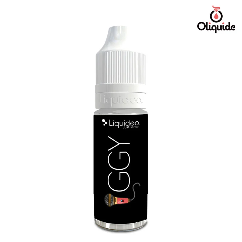 Explorez les fonctionnalités du Iggy de Liquidéo en le testant