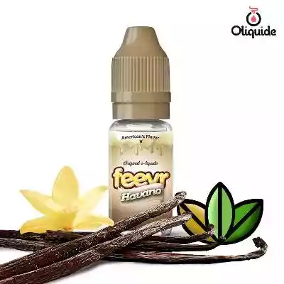 Feevr Havano de la marque Savourea